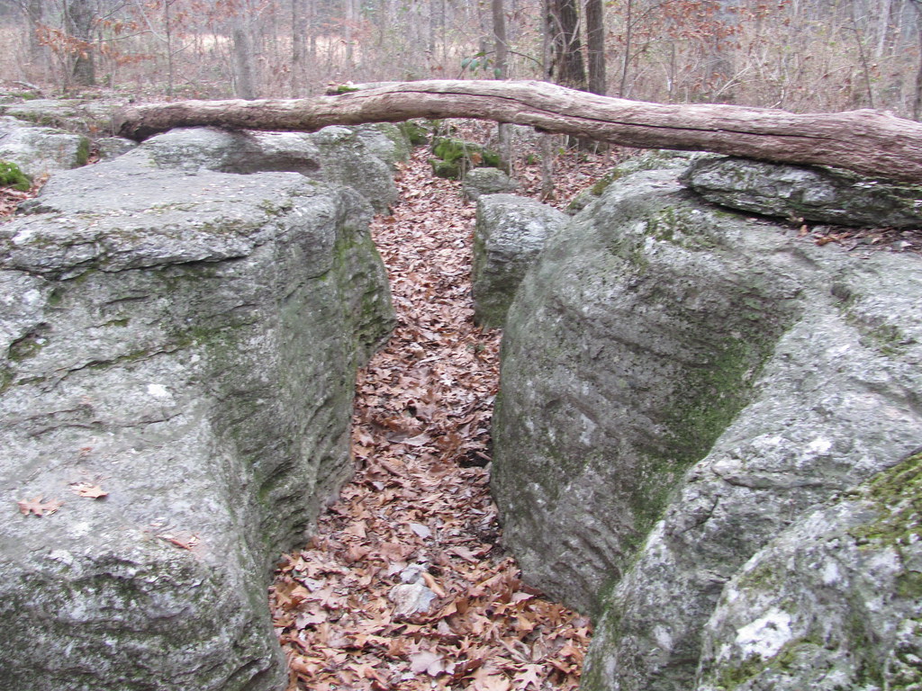 005 Stones River Battlefield, the Slaughter Pen Murfrees… Flickr