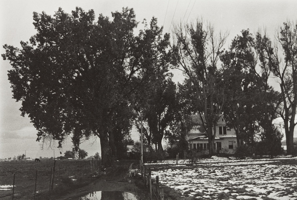Davidson_0305 View of Green Meadow Acres from the front pa…