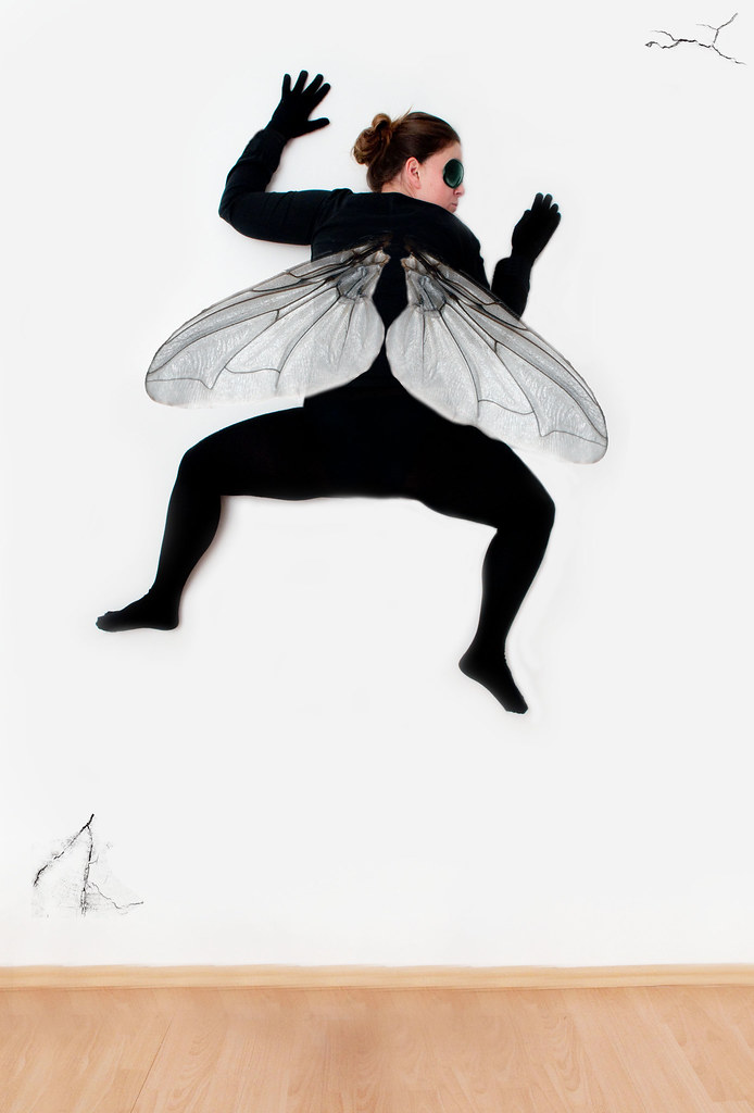 Day 352/365 Fly on the wall So a lot of you guys have as… Flickr