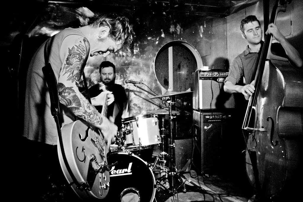 X Ray Cat Trio KirstyGarland Flickr