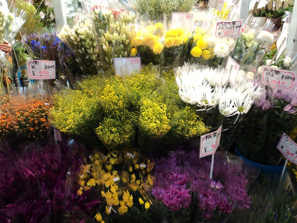 DSC00162 flower shop nishiki market erysimum9 Flickr