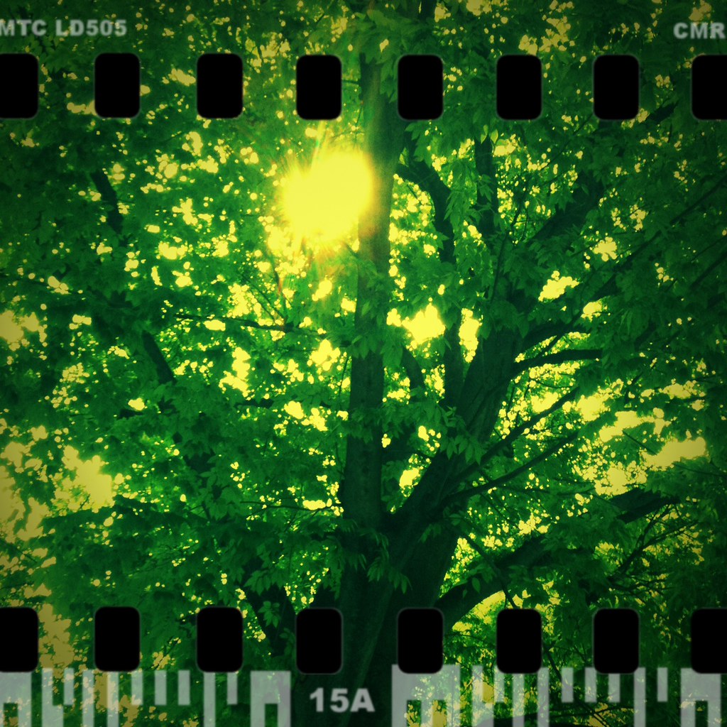 cameramatic04 filter LOMOLike yellow frame sprocket hol… youthhr