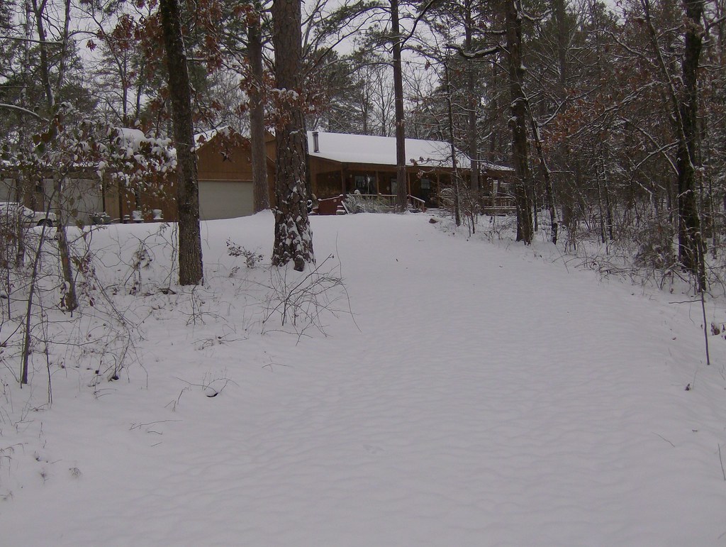 Snow in Arkansas Jan.2011 006 b65f410a4e01a71665ea91fe5063a04d Flickr