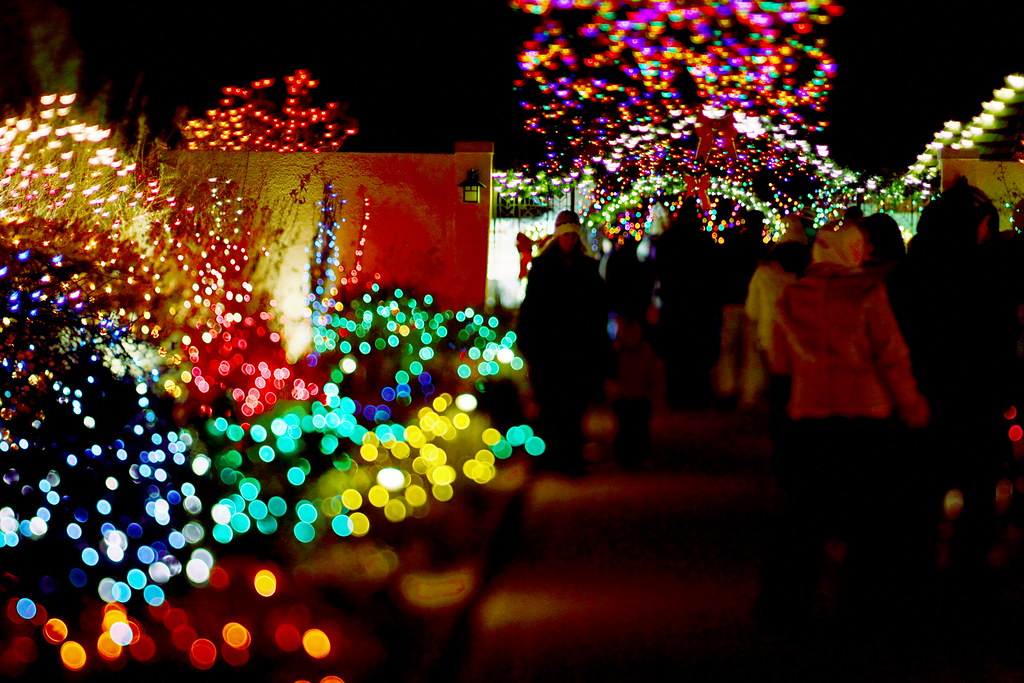 Denver Botanical Garden Christmas Lights The botanical gar… Flickr