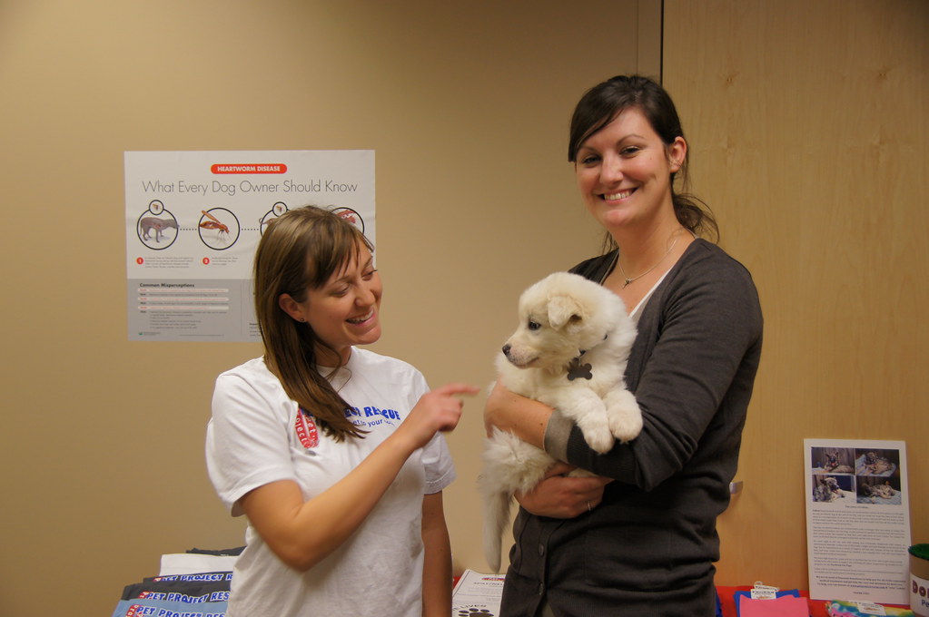 Pet Project Rescue at Minneapolis Veterinary Hospital Flickr