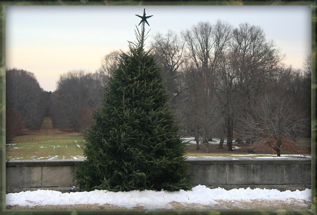 Star of Wonder We visited the Westbury House at the Old We… Flickr