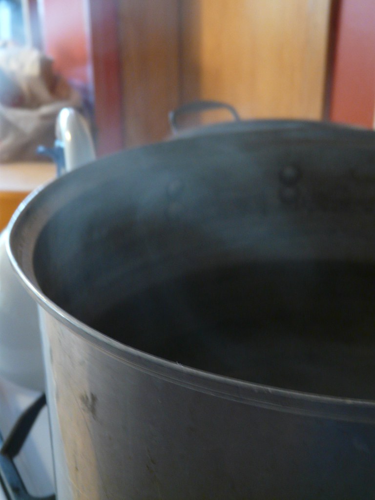 Boiling Water Since we don't have a dishwasher, sterilizin… Flickr
