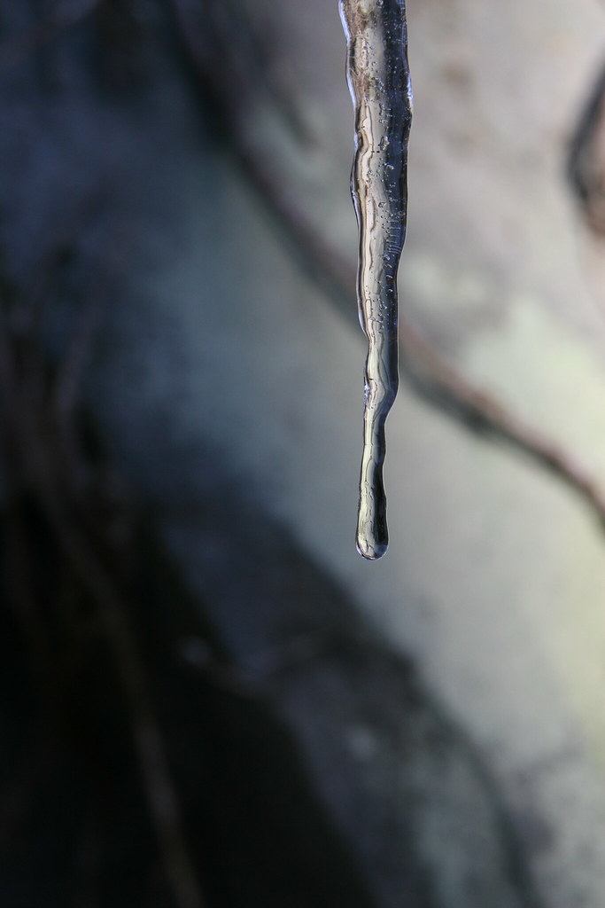 North Carolina 2010 Michael Buhler Flickr