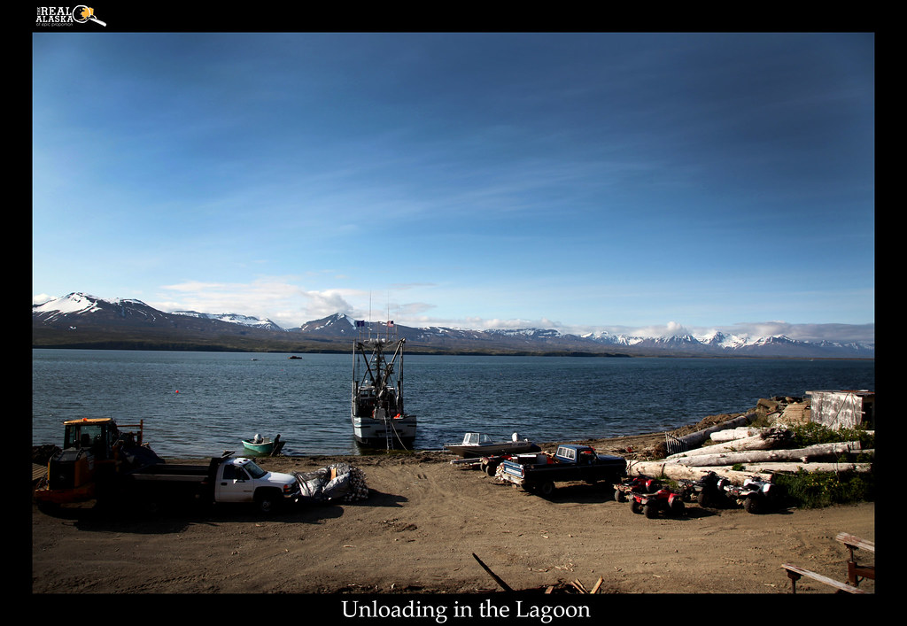 IMG_9062 The Real Alaska Flickr