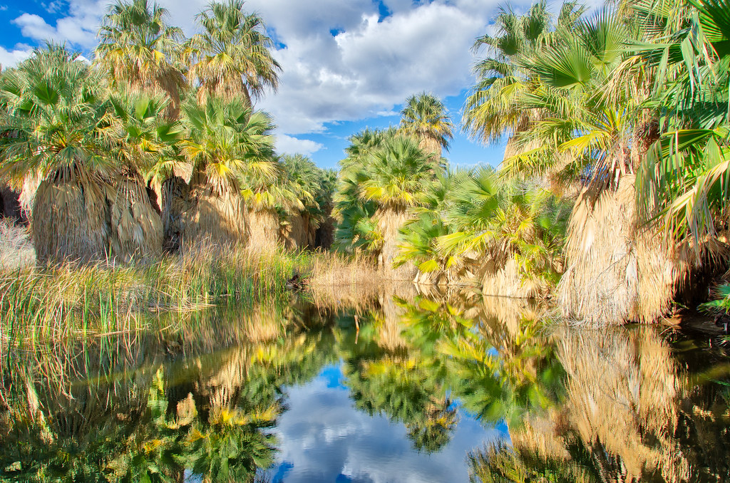 1000 Palms Hike 2017 Flickr