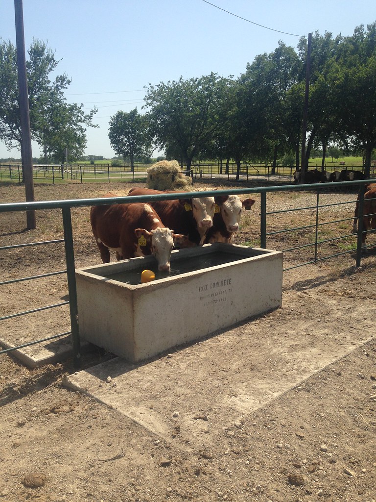 190 Gallon Water Trough Cox Concrete Flickr