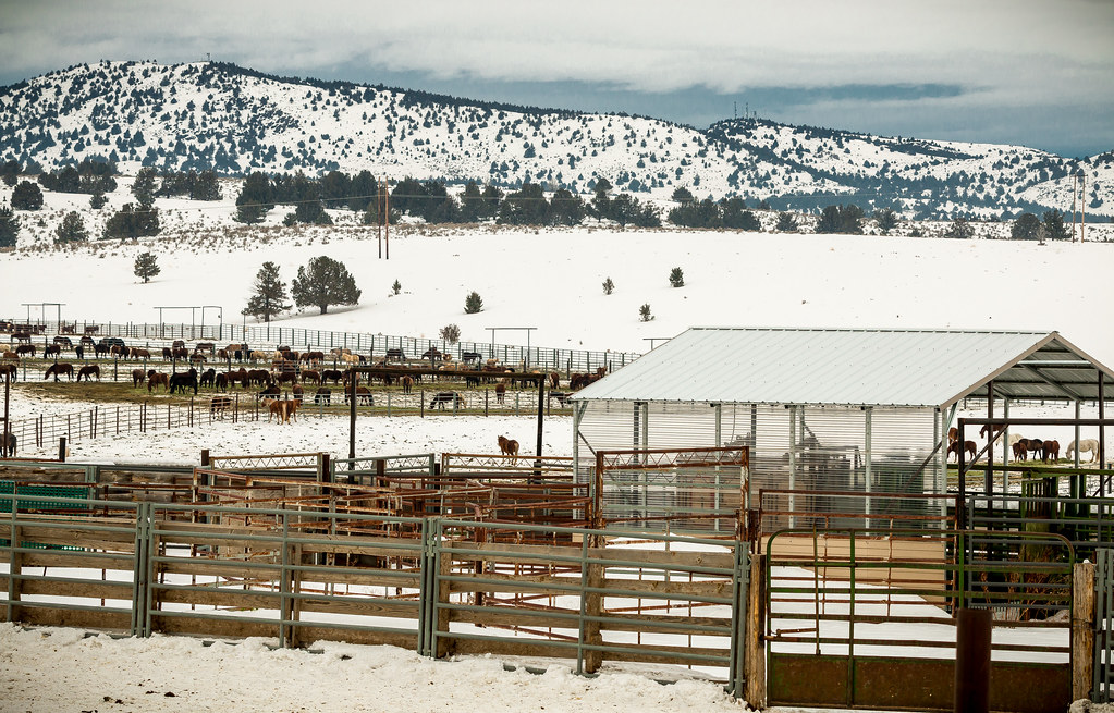 Wild Horse Corral Facility Hines, Oregon Photo by Greg S… Flickr