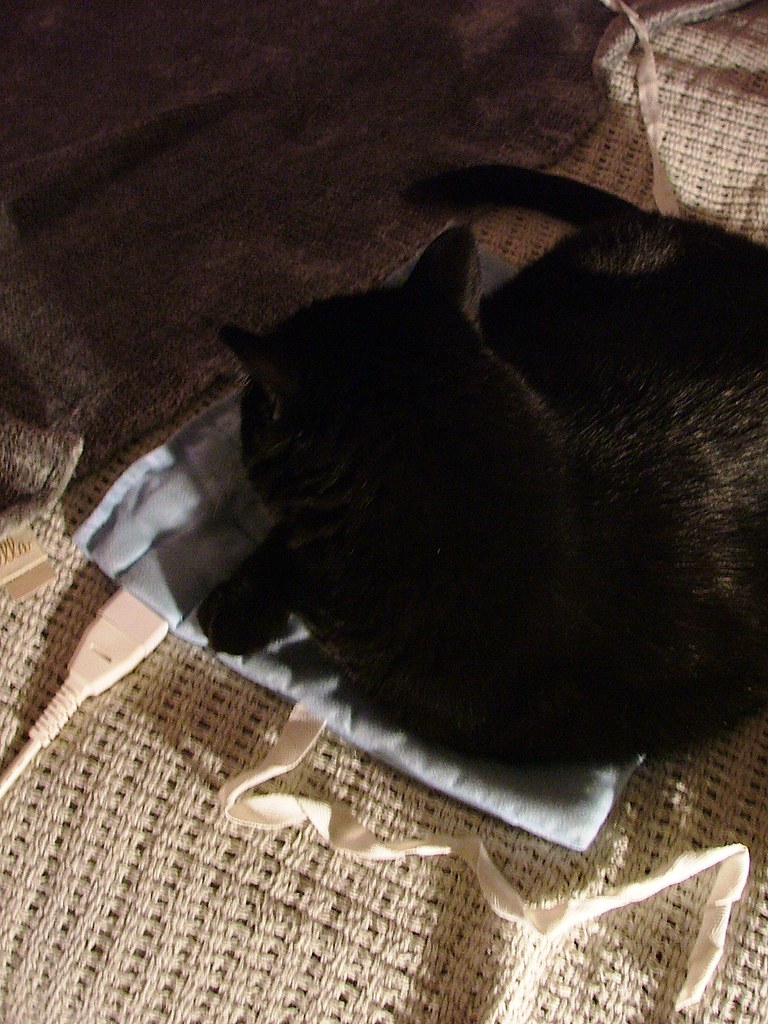 349 Hogging the Heating Blanket December 16. 2010 Miia Martinson