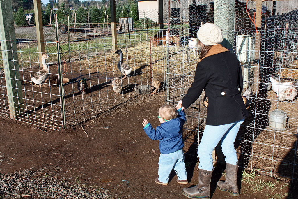 Christmas tree hunt. Thorton's Treeland. Vancouver Washing… Flickr