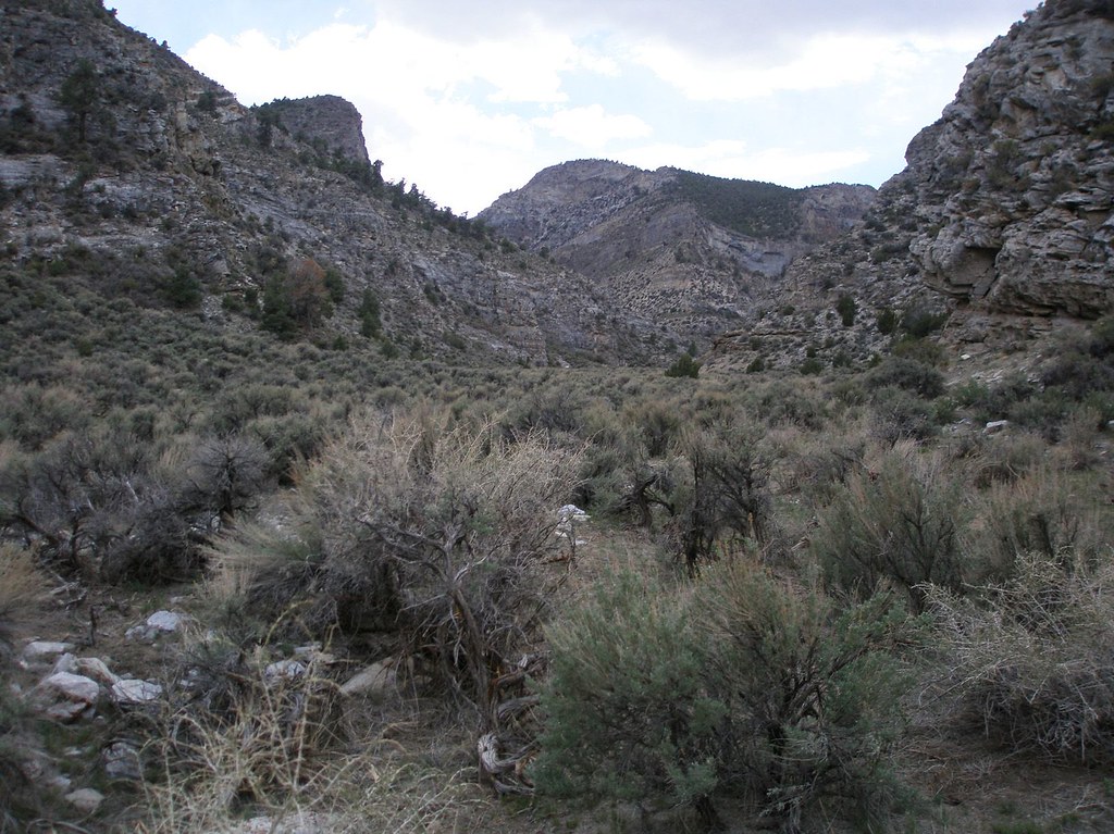 014/250 Mount Moriah Wilderness Area The Mount Moriah Wi… Flickr