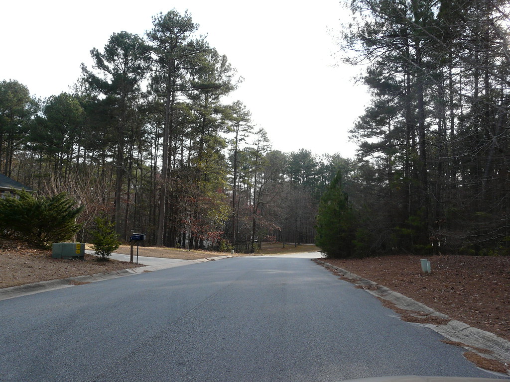 P1030160 355 Thornton Drive Fayetteville, GA jjkljlk Flickr