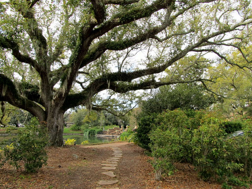 IMG_1877 OAK TREE Grand Hotel Marriott Resort,Golf Club &… Flickr