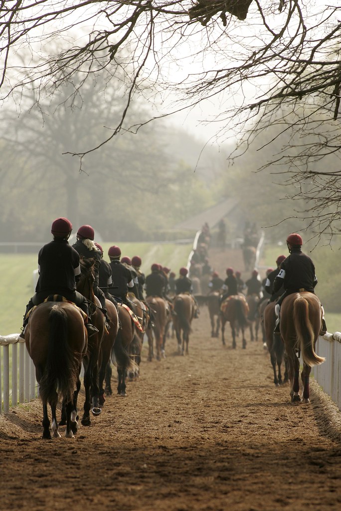 Ballydoyle Horse Racing Ireland www.hri.ie Flickr
