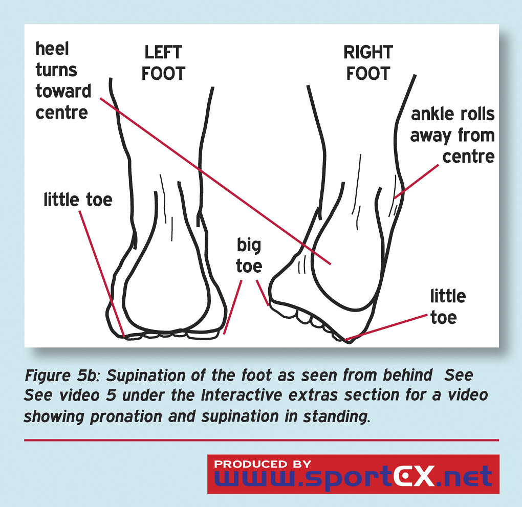 Supination of the foot as seen from behind See video 5 und… Flickr