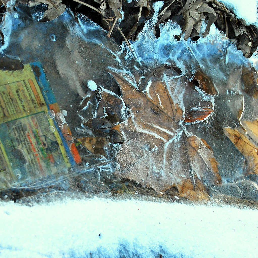 A3WeatherMarissa Benavides004 Danger/Beauty, although I… Flickr