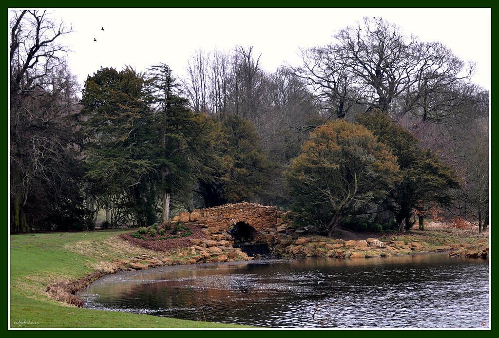 Hardwick Park Sedgefield Co Durham.Uk. 22/02/2011. Flickr