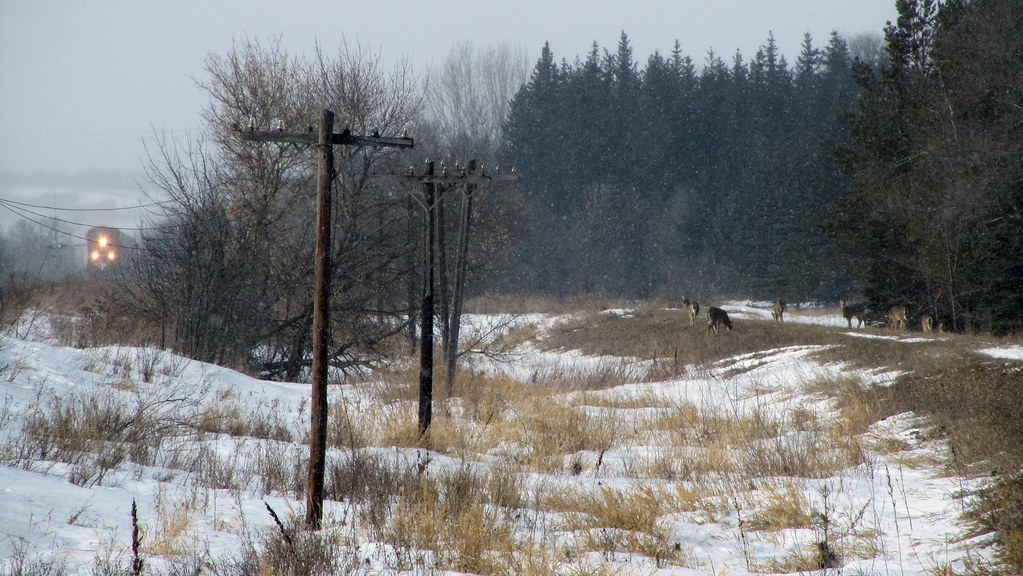 Minot North Dakota 1 Sam DeLong Flickr