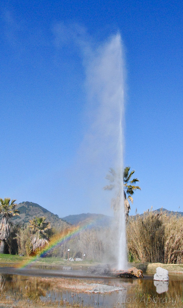 Old Faithful Geyser of California Calistoga, CA Alok Aparanji Flickr