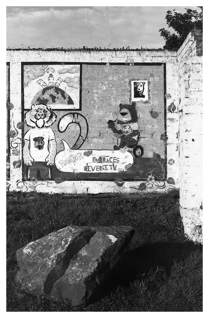 Bangor, Co Down Kentmere 100, Vivitar V3000s 50mm 1.8 Caff… die