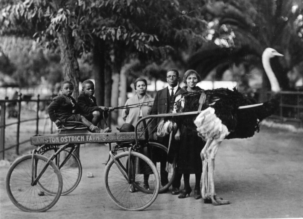Lundy family at Cawston Ostrich Farm ID pmh_BHL233 TI… Flickr