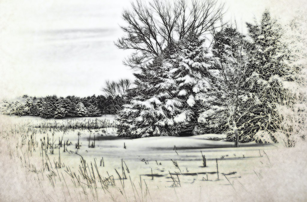 Fresh Snow Butterfield Lake. Perhaps better in the Light B… Dave