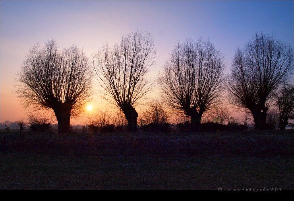 The road not taken. Two roads diverged in a yellow wood, A… Flickr