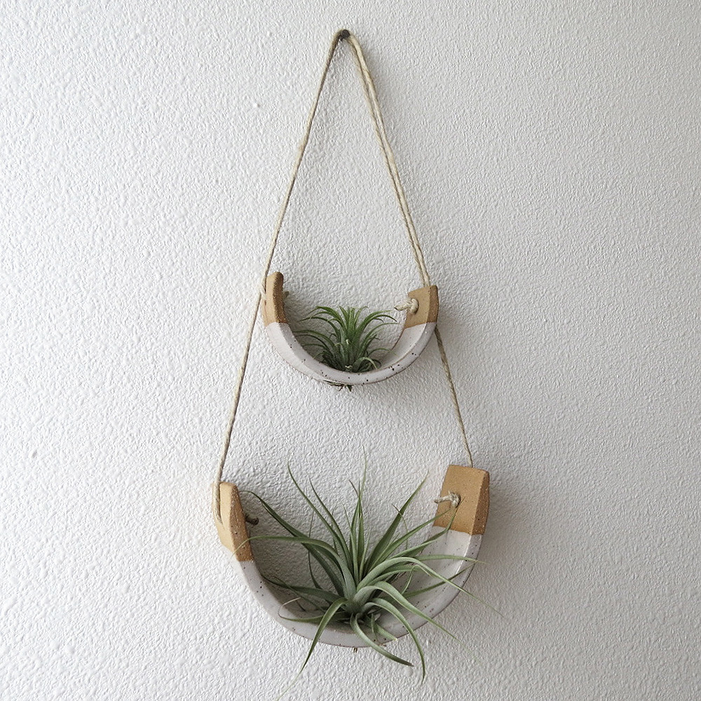 Hanging Air Plant Cradle Mike McDowell Flickr