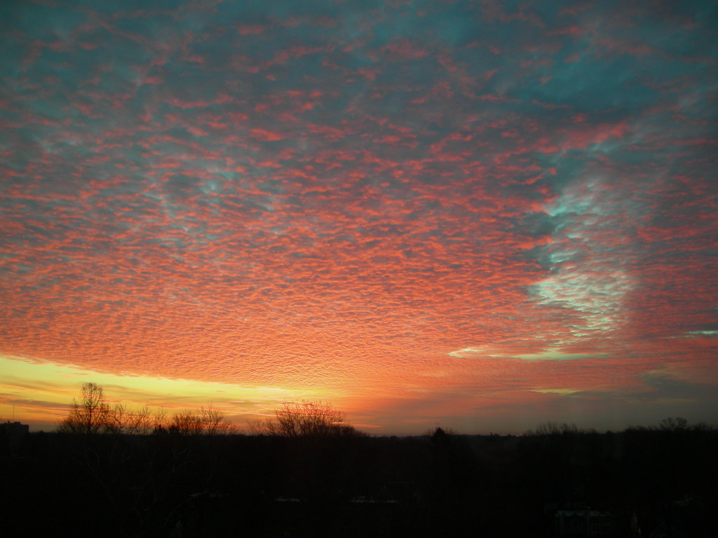 Rising Sun Ave, Philadelphia, PA 美國的日出日落時間表