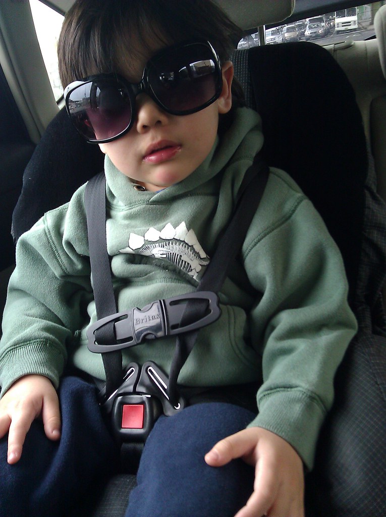 sunglasses again looks like i lost my sunglasses to my tod… tritia