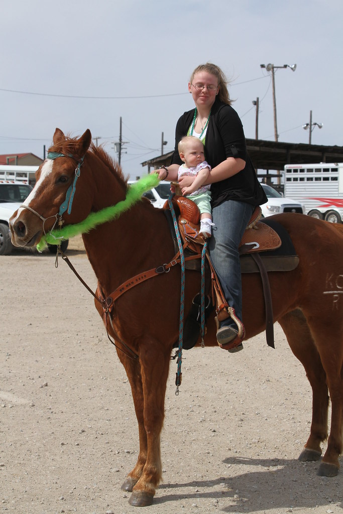 RM Performance Horses Texas A week spent with Maddy and … Flickr