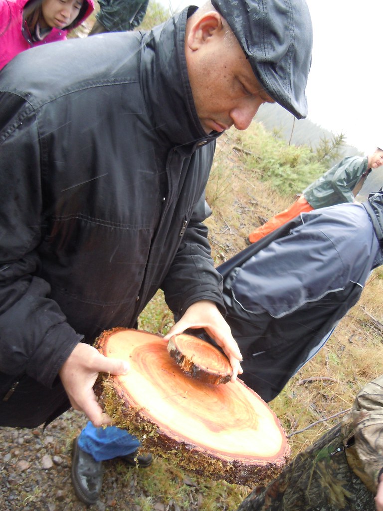 RZ Swiss Needle Cast Tour 2011 004 World Forest Institute Flickr