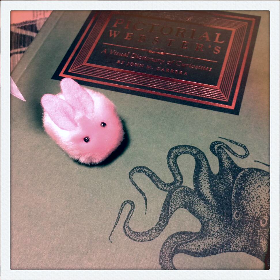 Day 149, Rabbit dictionary. One Object 365 Days, rabbit … Flickr