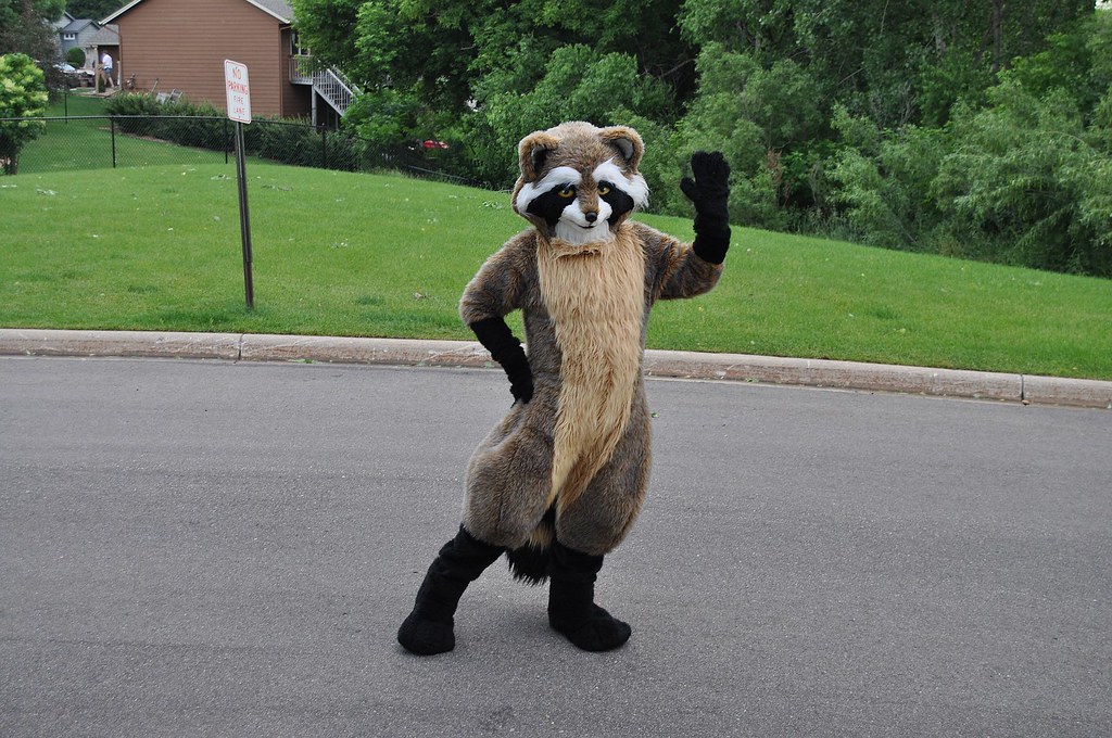Fursuit Practice 045 Andy in his Filbert Raccoon fursuit. Sean C