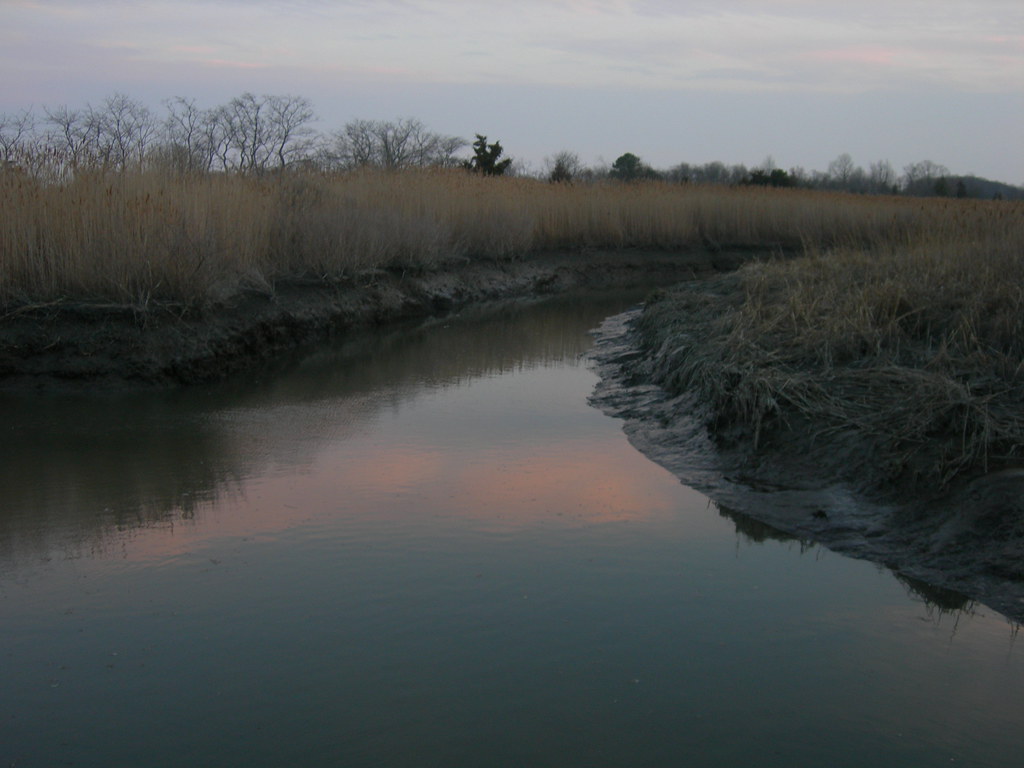 Little Creek On South LIttle Creek road in LIttle Creek, D… Flickr