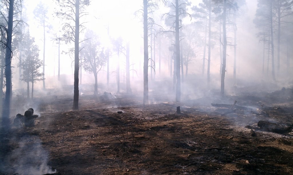 Elevation of Shumway, AZ, USA Topographic Map Altitude Map