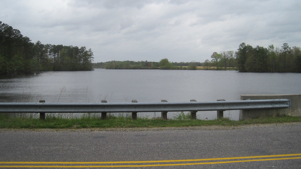 Sedley Johnson at Harry Williams blog