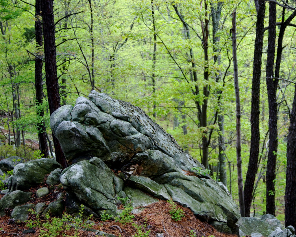Elevation of Siler Rd, Winchester, VA, USA Topographic Map Altitude Map