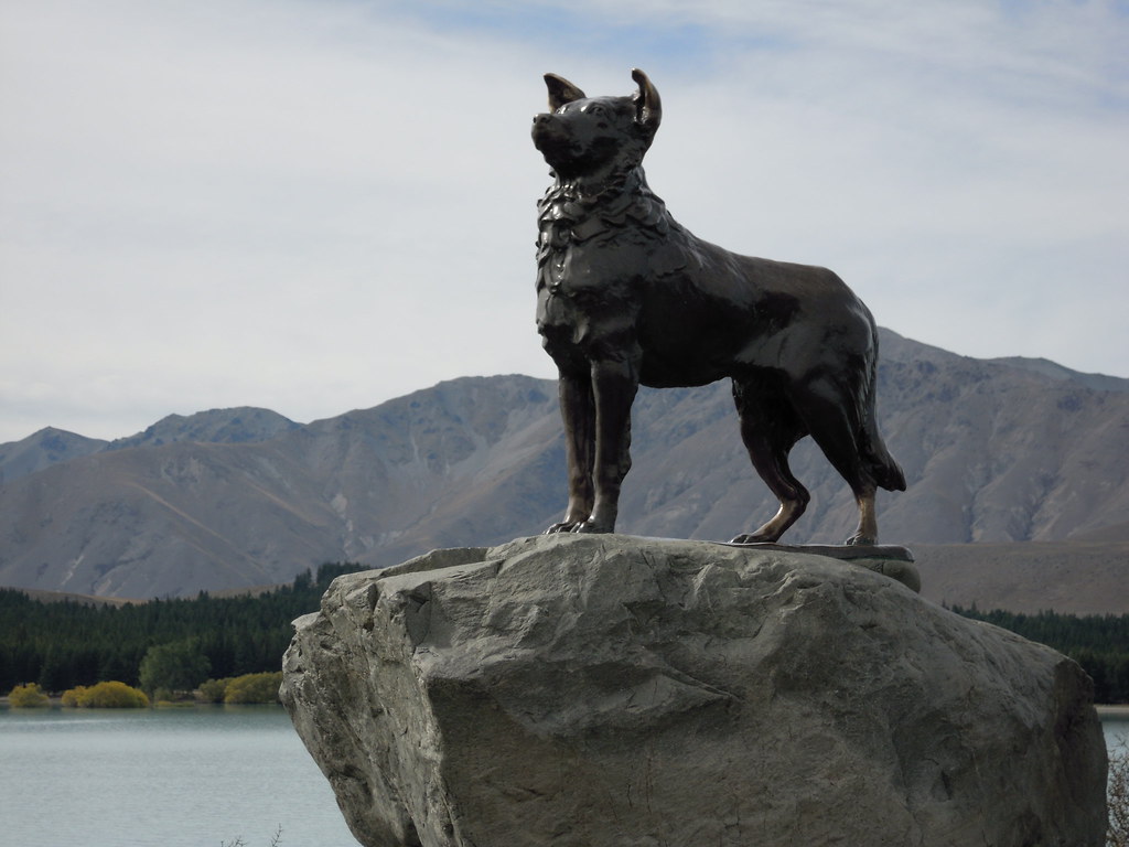DSCN0406 Dog Monument at Lake Tekapo Alex Bromham Flickr