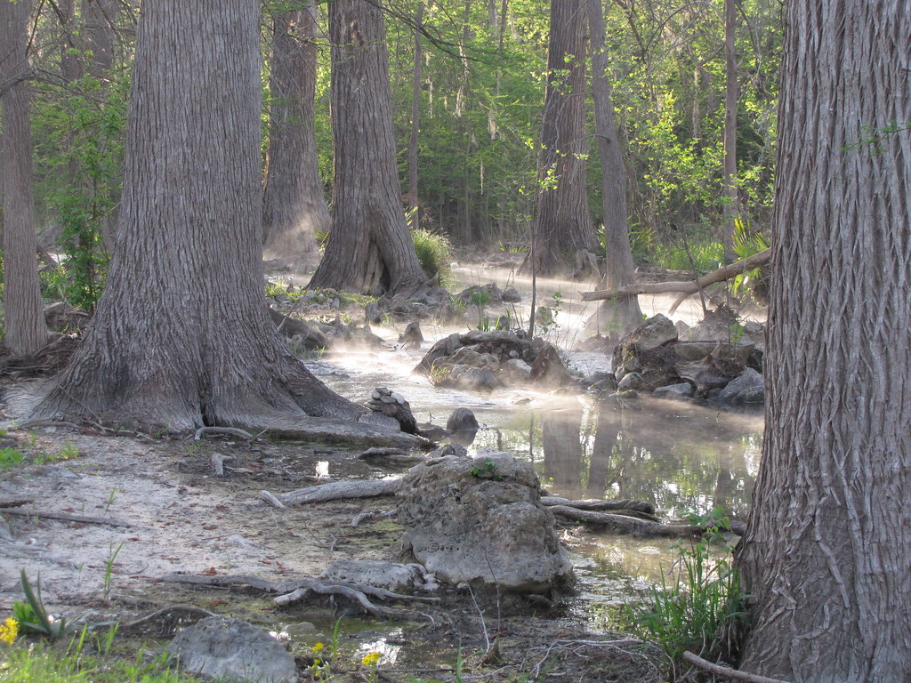 IMG_0717 Rebecca Creek, Spring Branch Darlene Flickr