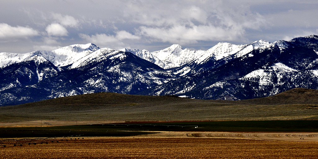 Elkhorn Mts, Eastern Oregon, Just south of Baker City naturepic08