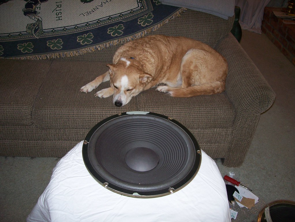 Refoaming Realistic Mach Two Woofers The dog was tired out… Flickr