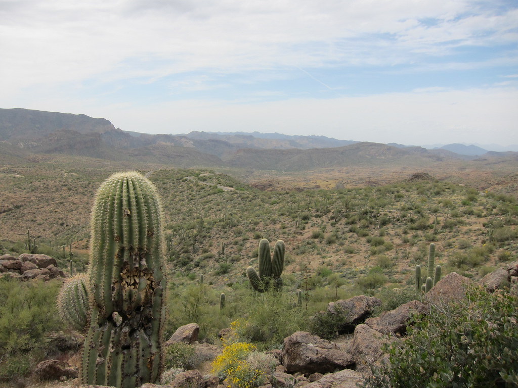 Tonto National Forest a photo on Flickriver
