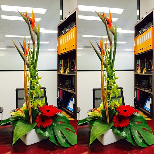 ⬅️order now Share,Like or Com… Flickr