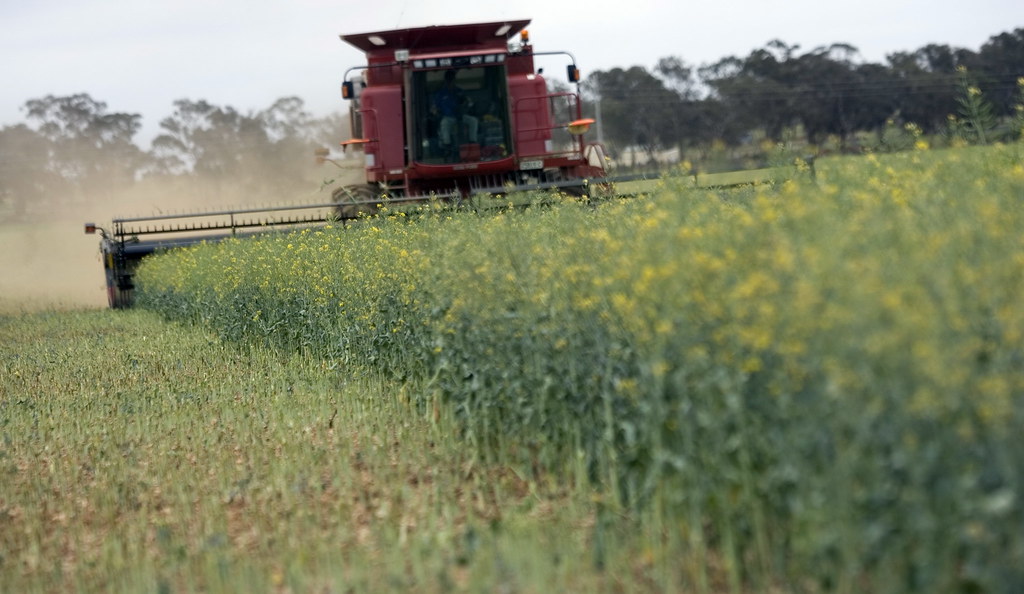 Temora Agriculture temorashire Flickr