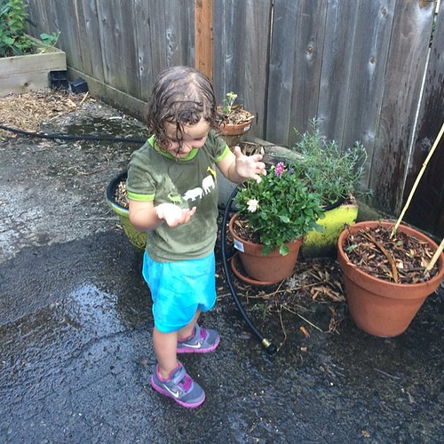 Watering plants/ giving kid a bath/ outdoor shower Flickr